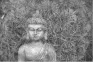 Breathing in Wellness – A 4-part Mindfulness & Meditation Series
