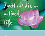 Book: I will not die an unlived life