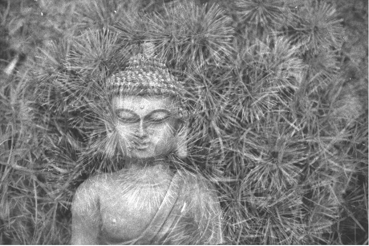 Breathing in Wellness – A 4-part Mindfulness & Meditation Series