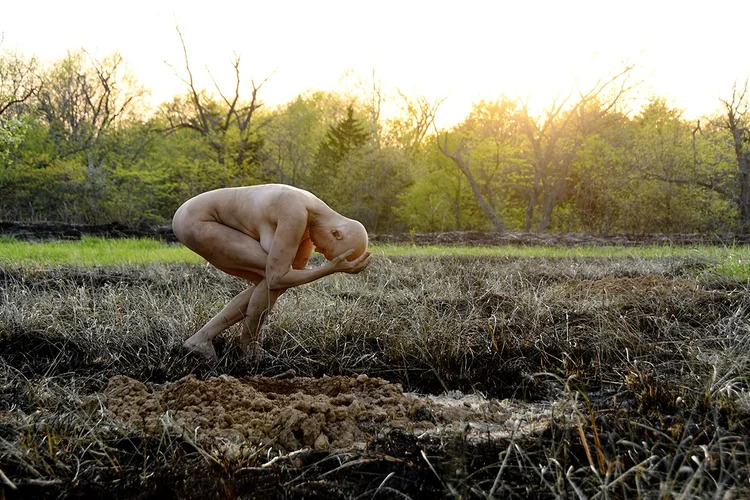 The orchard: Ashes & Soil series, photographic digital print by artist Cherie Sampson