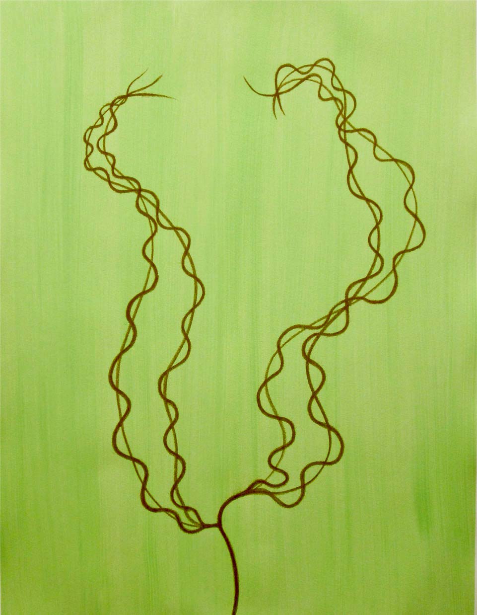 Craig Cahoon, VERA 27, 2020: looping brown tendril forms on a yellow-green ground. Acrylic and Conte on paper, 24 x 18 in.