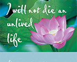 Book: I will not die an unlived life